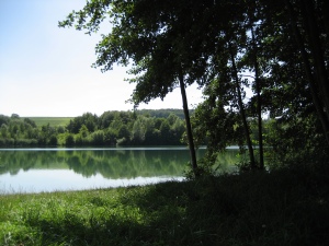 Lake near Landau